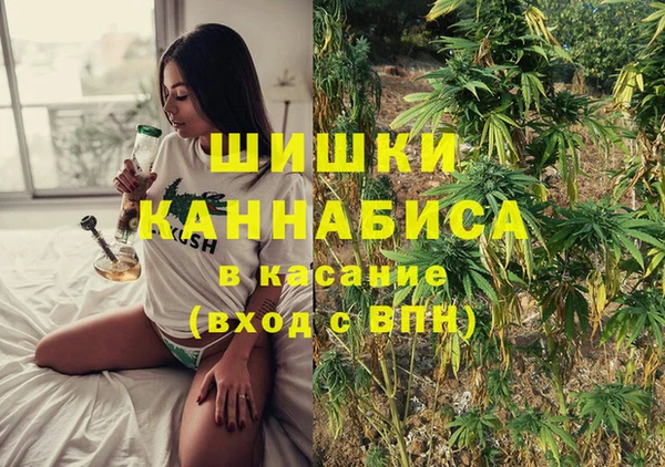 PSILOCYBIN Бугульма